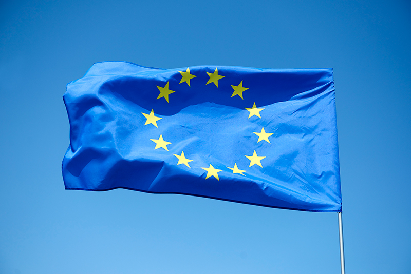 Projet famous vbae (projet européen)