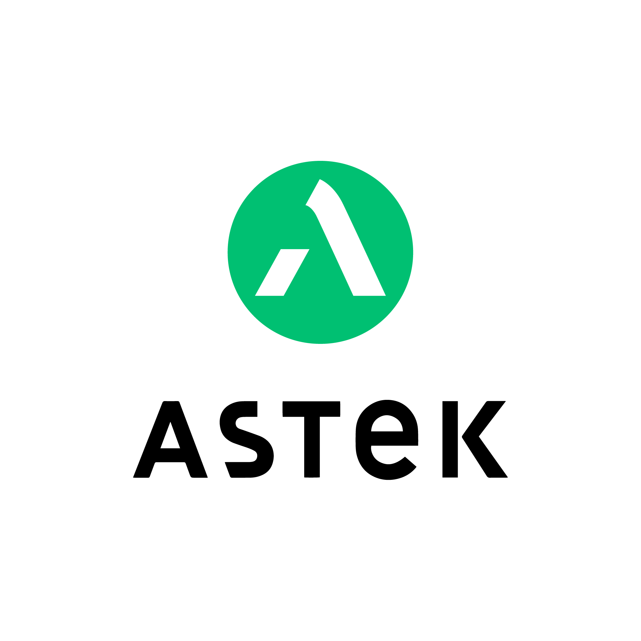 LOGO PYR COULEUR ASTEK
